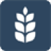 author-avatar