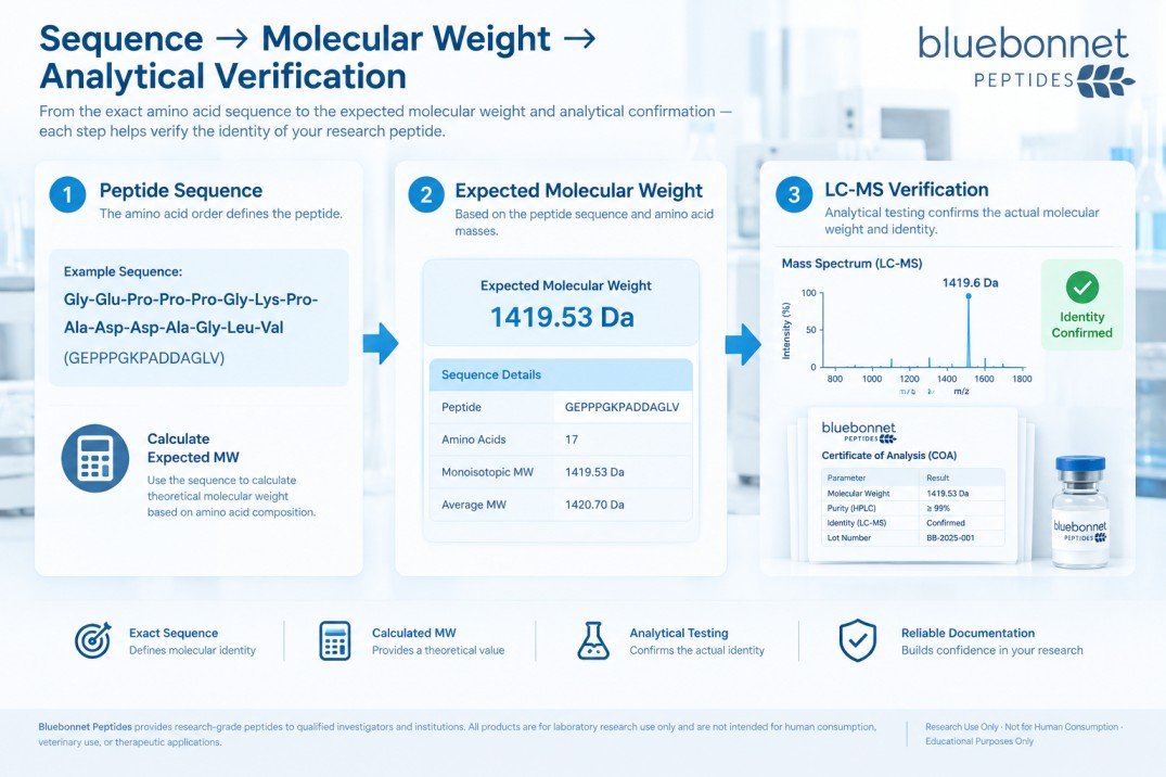 Infographic illustrating the process from peptide sequence to expected molecular weight calculation and LC-MS analytical verification.